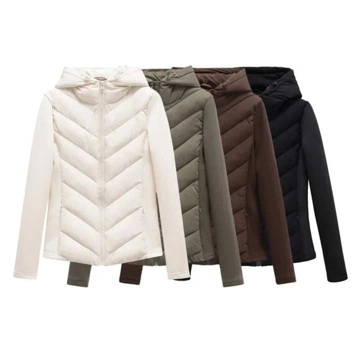 Winterjas dames modern gestepperd met capuchon