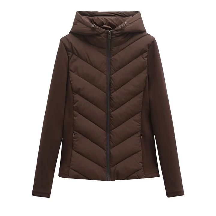 Winterjas dames modern gestepperd met capuchon in Bruin